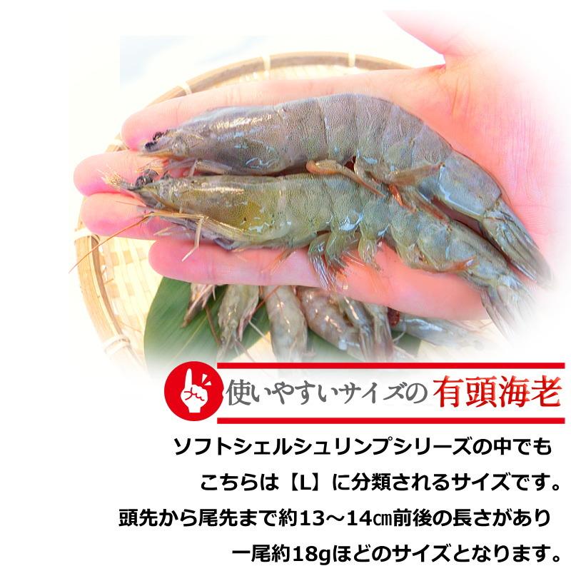 エビ 冷凍 ソフトシェルシュリンプ Lサイズ 25尾入 ニチレイ 有頭エビ