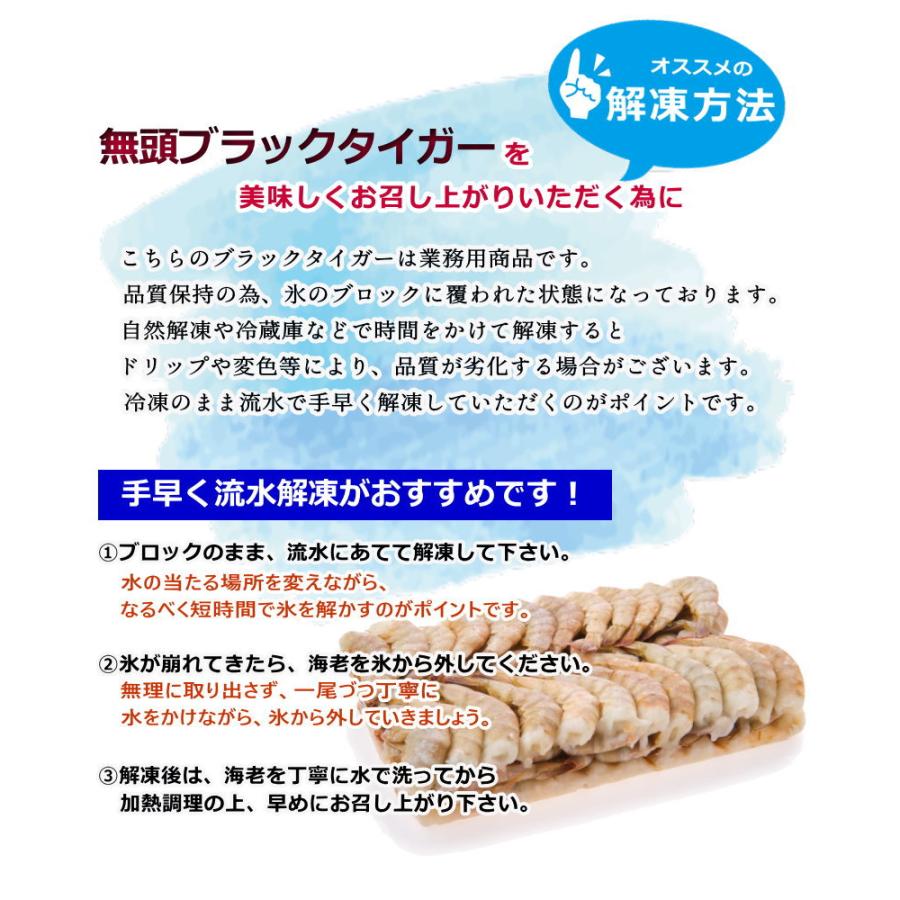エビ 冷凍 無頭海老 31/40 ブラックタイガー 【約124〜160尾入】 1.8kg