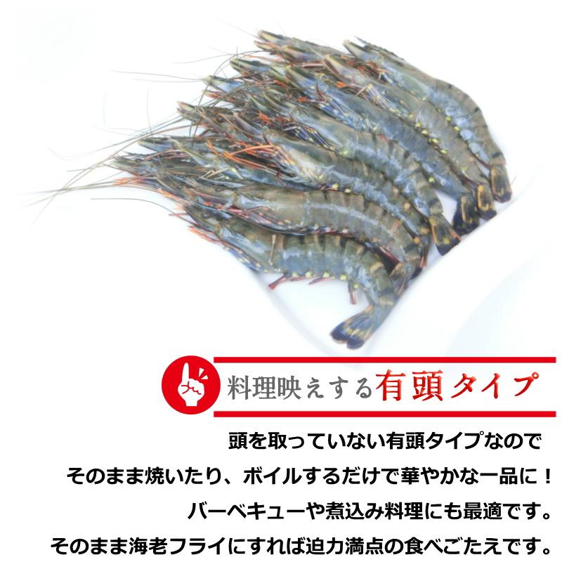 エビ 冷凍 有頭海老 ブラックタイガー 35尾入 1.3kg ブロック 有頭エビ