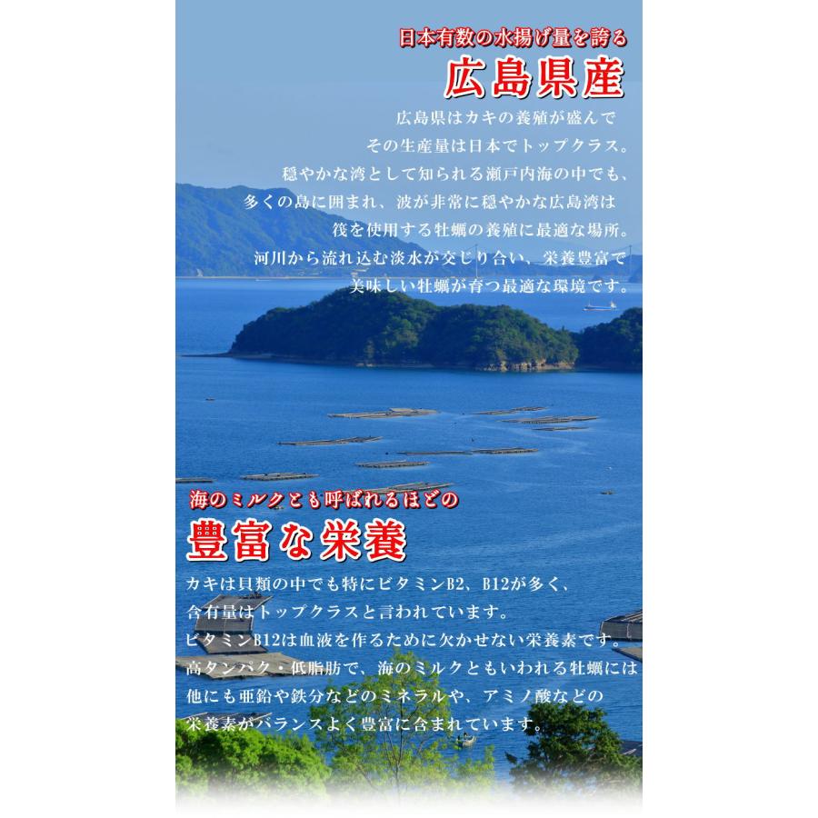 カキ 広島県産 剥きカキ　特大サイズ　牡蠣　むきカキ　１ｋｇ　２Ｌサイズ　（NET850ｇ／25-35粒前後）　牡蠣 カキ　冷凍　・カキ２Ｌ・　｜seafoodmax｜04