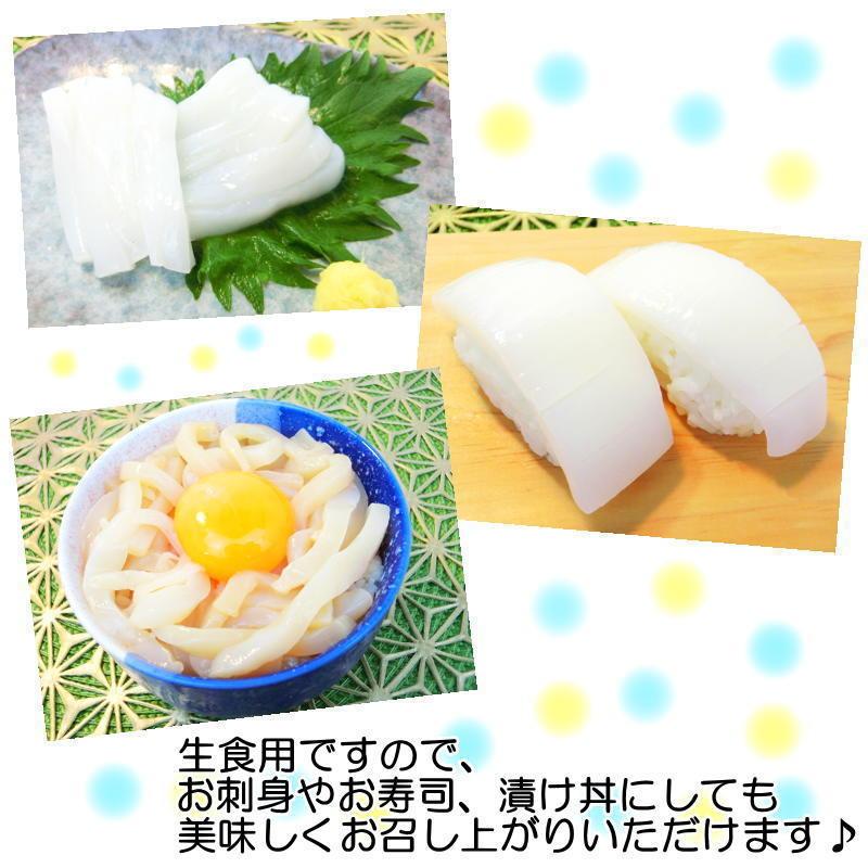 1260円 94 Off 鮮凍力 あおりいか 和歌山県産 アオリイカ お刺身 急速