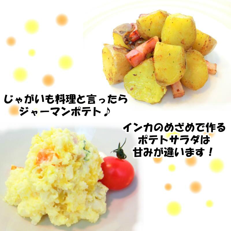 インカのめざめ 乱切り 1kg インカのめざめ Y Seafoodmax 通販 Yahoo ショッピング