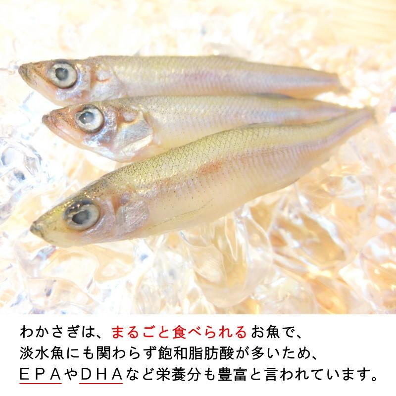 わかさぎ 冷凍ワカサギ 1kg 公魚 わかさぎ Y105 Seafoodmax 通販 Yahoo ショッピング
