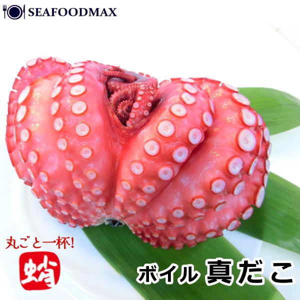 ボイル真蛸 １杯丸ごと 蒸したこ タコ ボイルたこ 真ダコ ボイル 真たこ Y118 Seafoodmax 通販 Yahoo ショッピング