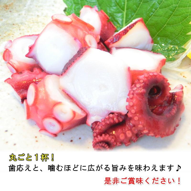 ボイル真蛸 1杯丸ごと 蒸したこ タコ ボイルたこ 真ダコ ・ボイル【真たこ】・ :Y118:seafoodmax - 通販 - Yahoo!ショッピング ボイル真蛸 1杯丸ごと 蒸したこ タコ ボイルたこ 真ダコ ・ボイル【真たこ】・ :Y118:seafoodmax - 通販 - Yahoo!ショッピング