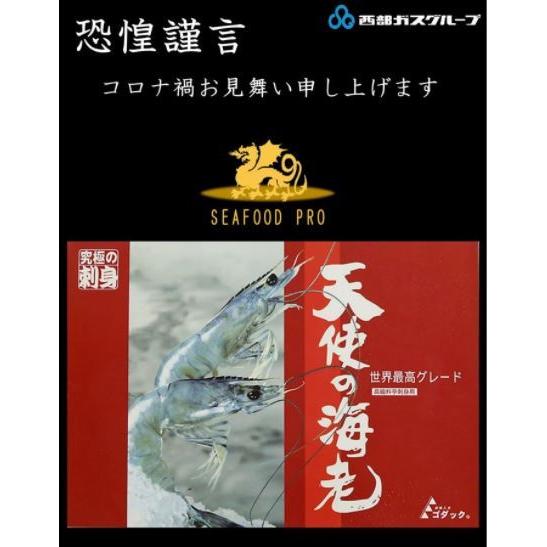 天使の海老 ★ 1kg(30-40尾)　刺身用　えび　エビ　バーベキュー　 プレゼント　 |  | 03