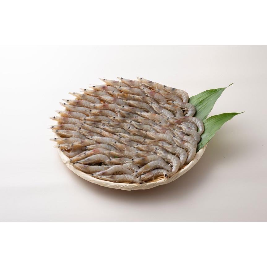 国産天然芝海老　熊本県産　福岡県加工 バラ凍結 BBQ 食材 ビール つまみ えび エビ　贈り物　 |  | 01