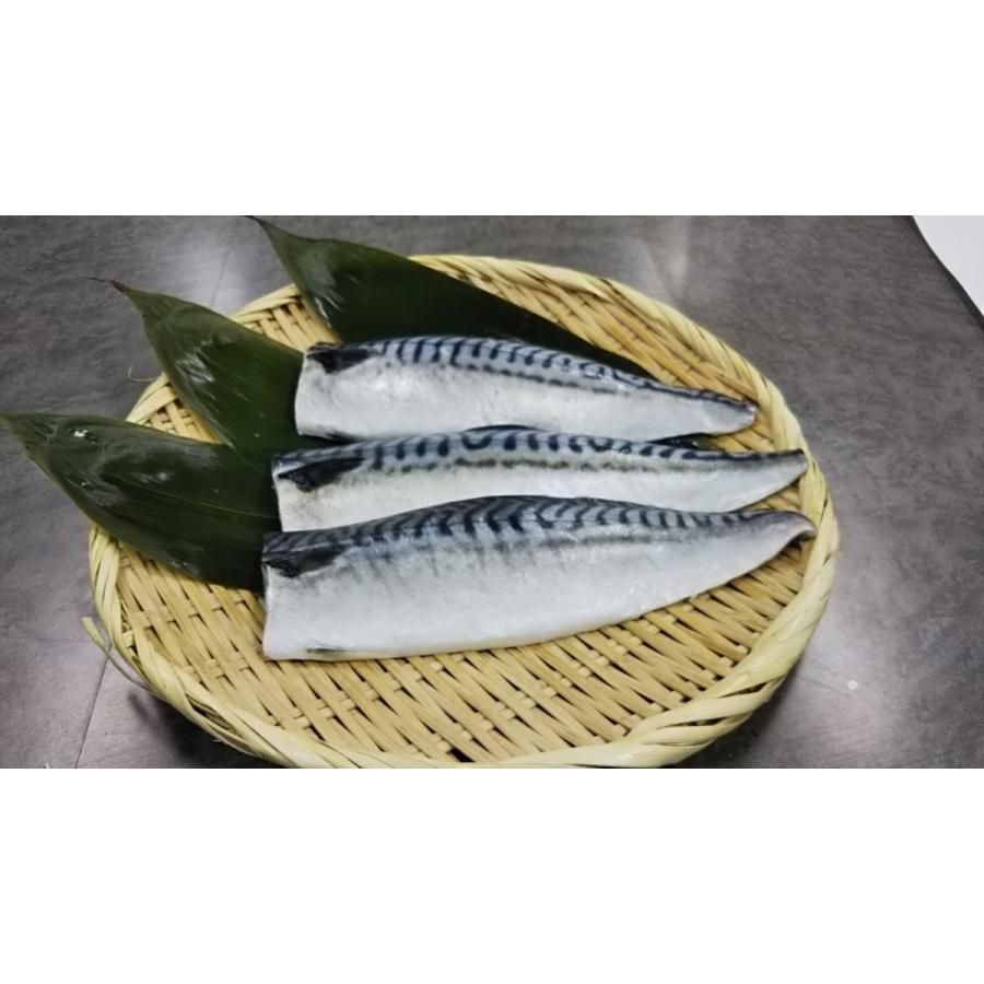 塩サバフィーレ5kg36枚 脂のり最高 Bsa Seafoodpro 通販 Yahoo ショッピング