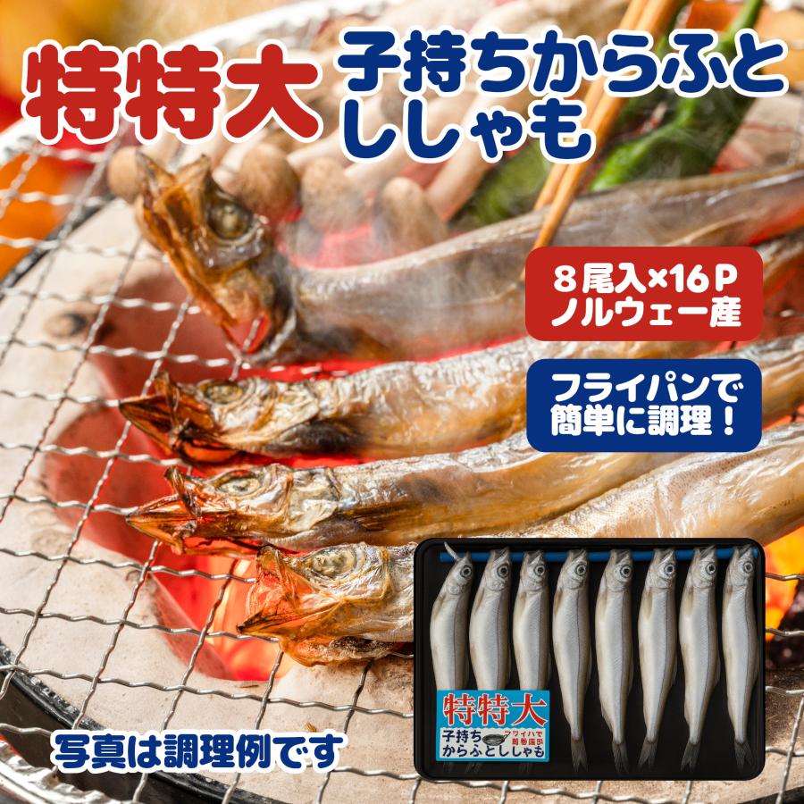 特特大 子持ちからふとししゃも 8尾入 16パックセット : シーフード