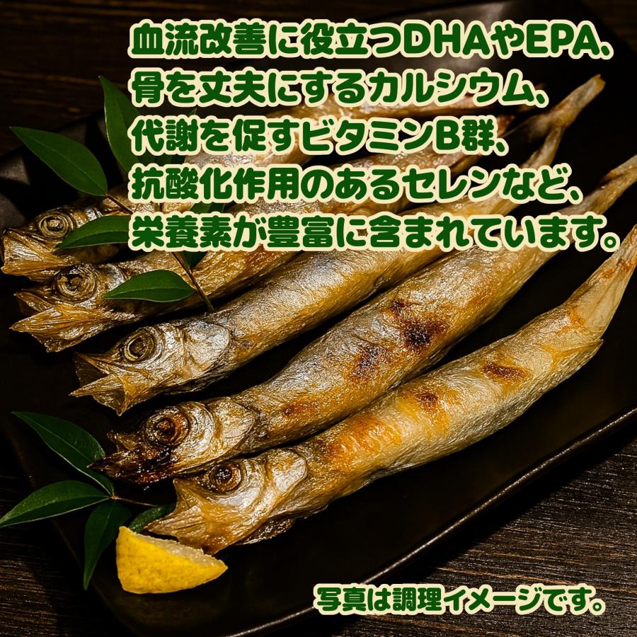 ししゃも 特特大 子持ちからふとししゃも 8尾入 16パックセット : シーフード