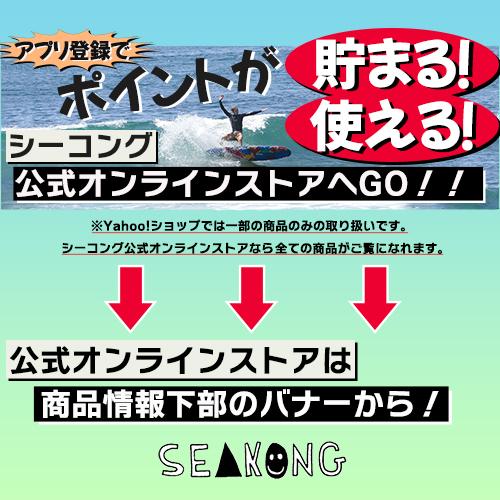 ガトヘロイ　プレイボーイ/Gatoheroi Playboy 9.8ft 中古サーフボード ロングボード シングルフィン｜seakong｜13