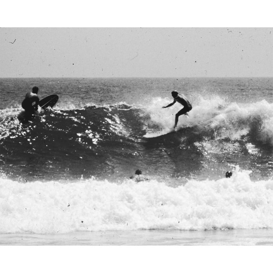 ヨ*ん様 デューイウェーバー パフォーマー9、6 ヨ*ん様 デューイウェーバー パフォーマー9、6 ヨ*ん様 デューイ