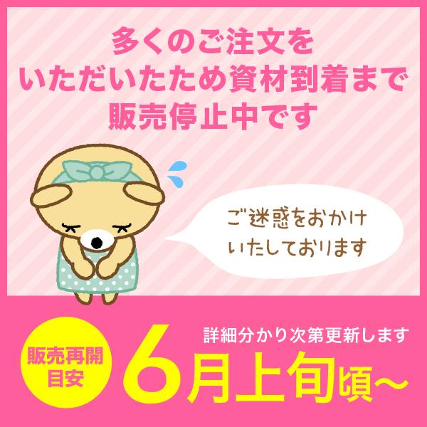 わんにゃん迷子シール【洋服に貼る、新しいペットの迷子札（名前＋文章