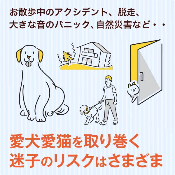 わんにゃん迷子シール【洋服に貼る、新しいペットの迷子札（名前＋文章