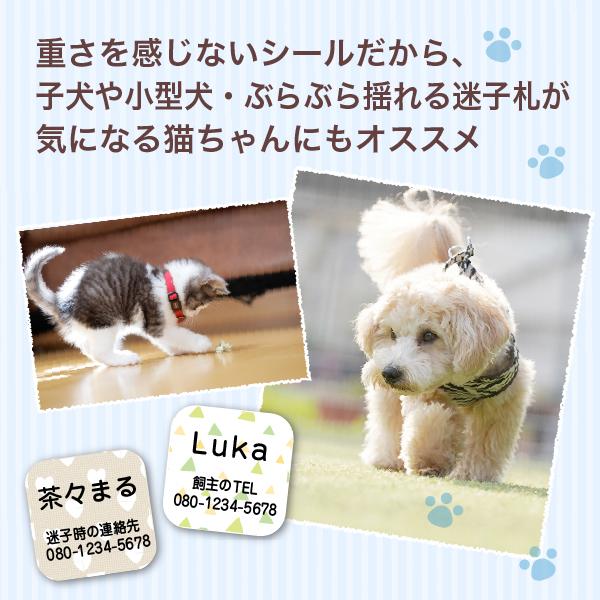 わんにゃん迷子シール【洋服に貼る、新しいペットの迷子札（名前＋文章