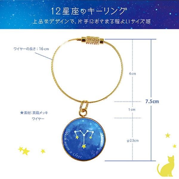 シールDEネーム ネコ 12星座 ギフト 3点セット 今治タオル＋星座