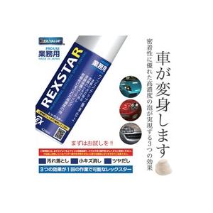 レックスター 4ml 汚れ落としスプレー 自動車汚れ落し 小キズ消しツヤ出し 洗車用品 ケミカル溶剤 業務用 メッキ 塗装面 塗膜 車 自動車 バイク 日本製 Sealovely777 Paypayモール店 通販 Paypayモール