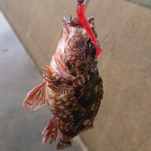 脱小物釣り ワーム ジグヘッドセット ワーム4種 ジグヘッド2種 スナップ付き 宅急便コンパクト送料無料 Sea One Yahoo 店 通販 Yahoo ショッピング
