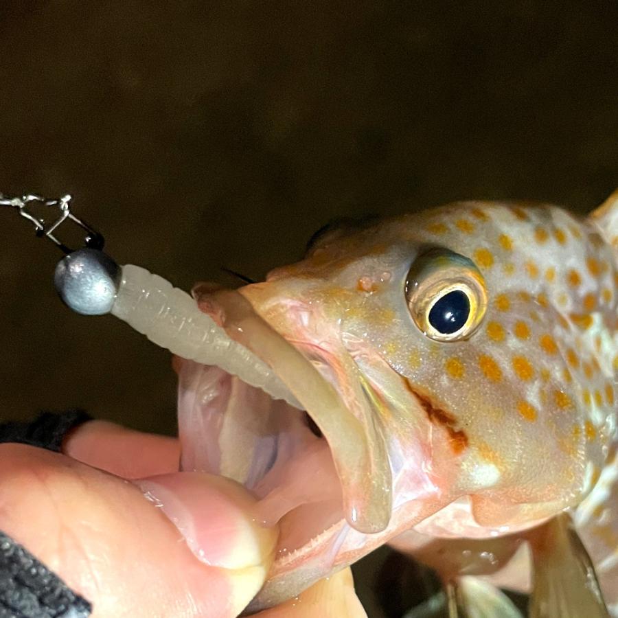 バーブレスお試しセット(ワーム20本・ジグヘッド15個・スナップ入り