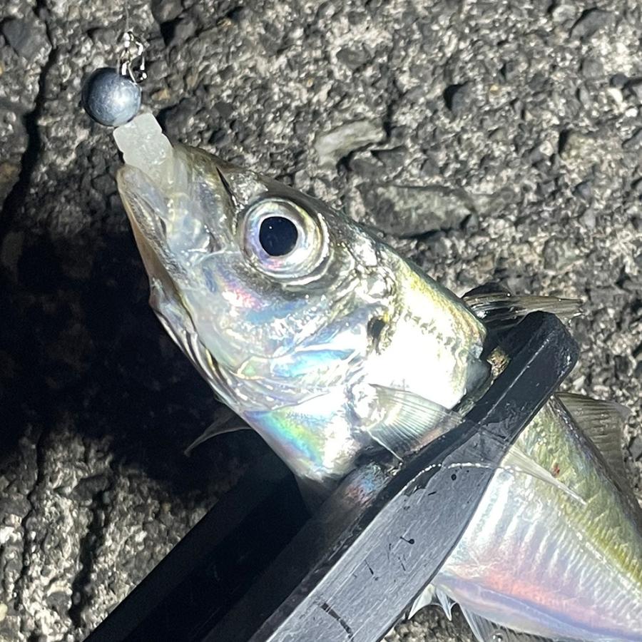 バーブレスお試しセット(ワーム20本・ジグヘッド15個・スナップ入り