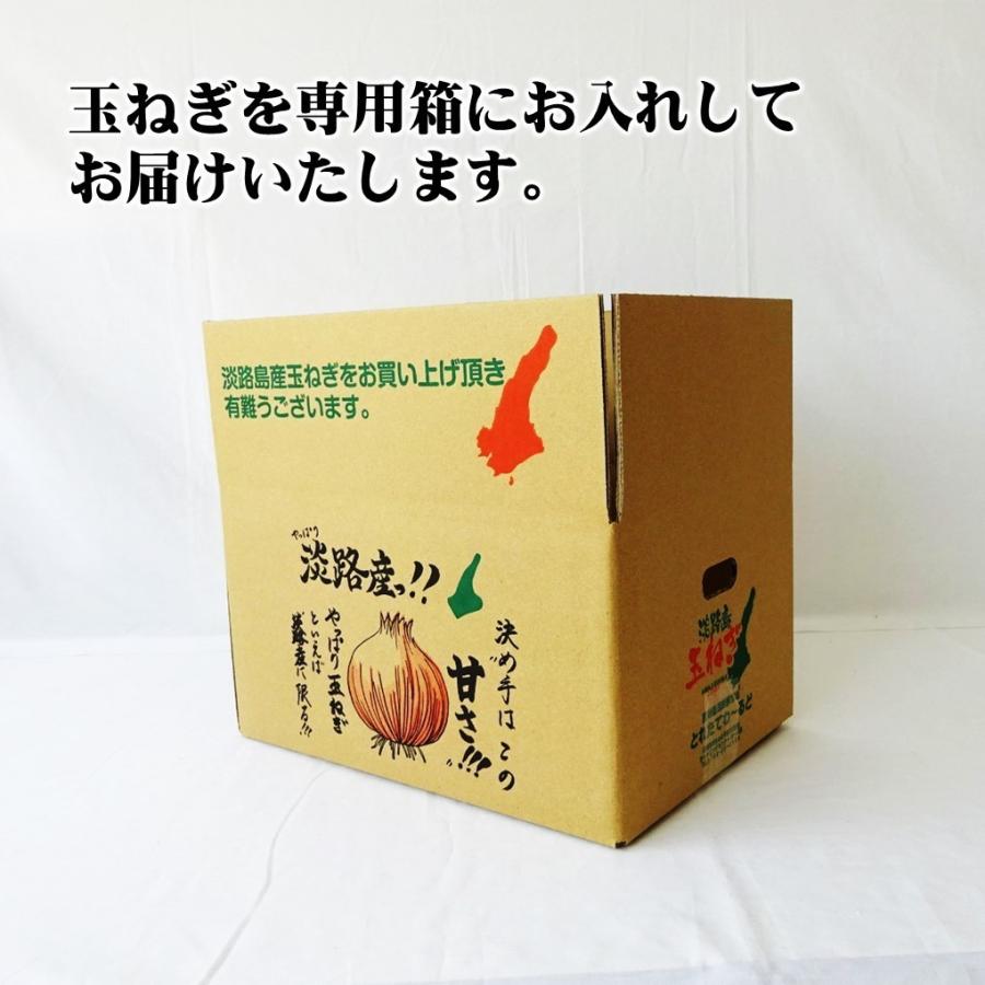 訳あり サイズ不揃い 淡路島 玉ねぎ たまねぎ 5kg 淡路島産 玉葱
