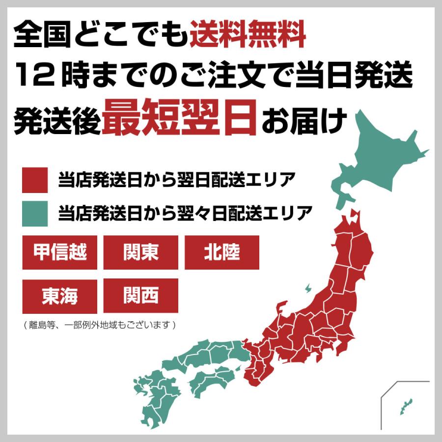 ララクリスティー ハワイアンジュエリー Disney ディズニー コレクション プルメリア ピアス Lara Christie ミッキー Disney Y Le58 0001 Sears 通販 Yahoo ショッピング