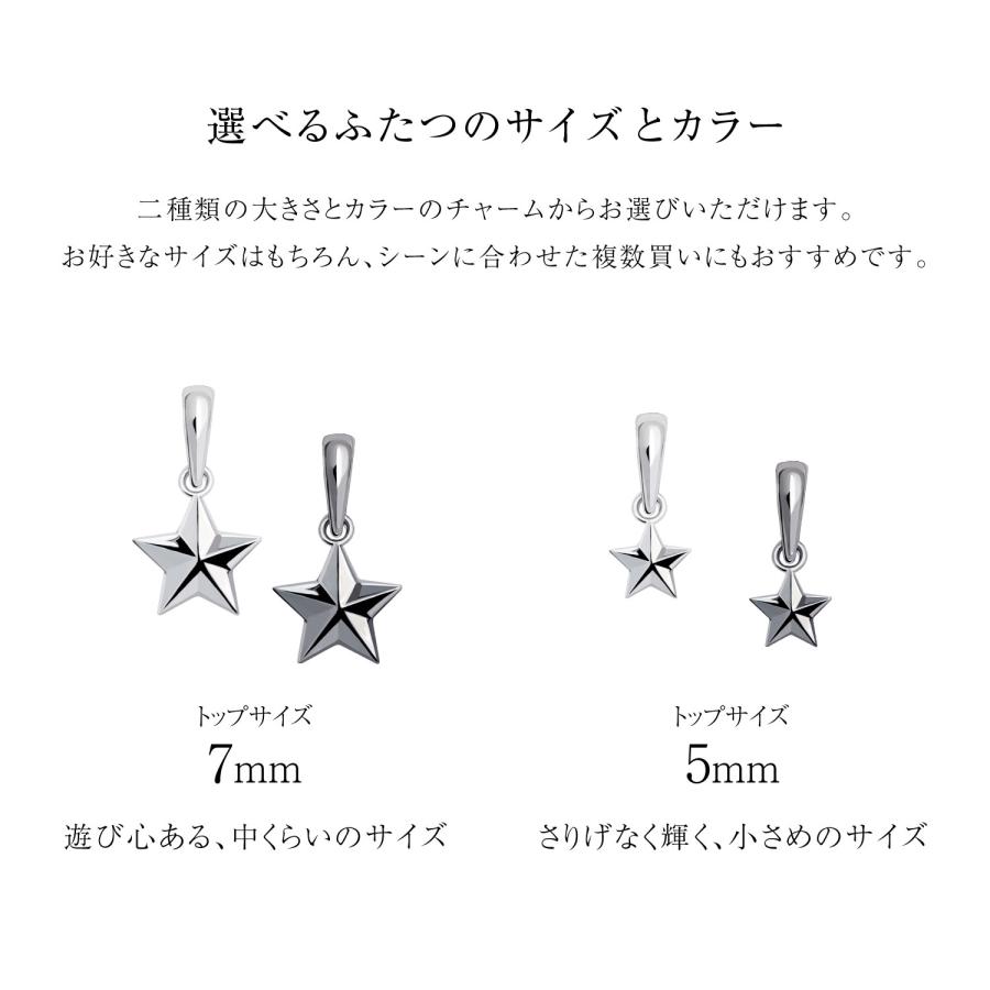 チャーム ステラ 星 レディース メンズ sv925 シルバー ペンダントトップ ネックレス スター LSC ララクリスティー | LARA Christie | 14