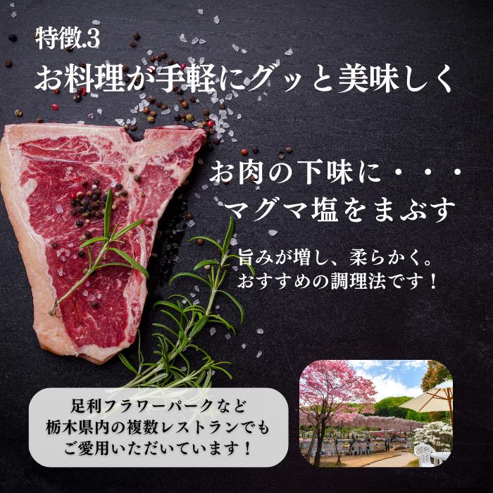 マグマ塩 料理用 100g : シーラン直営店 - 通販 - Yahoo!ショッピング