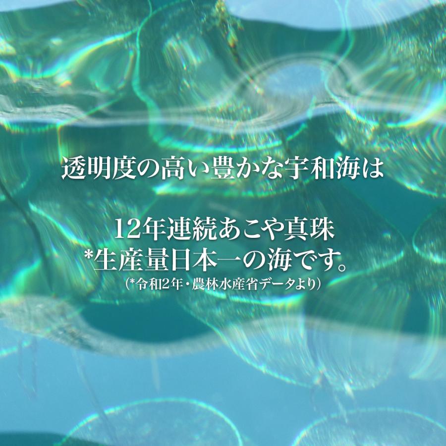 あこや真珠 パール ピアス イヤリング レディース スタッドタイプ ホワイト 6.0-6.5mm K18/K14WG/シルバー アコヤ Yahoo!フルフィル発送|seashore|06