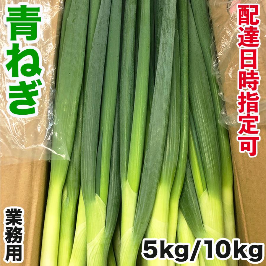 青ねぎ 約10kg ＜5kg×2箱＞業務用 M〜Sサイズ 中国産 新鮮青ネギ 青葱