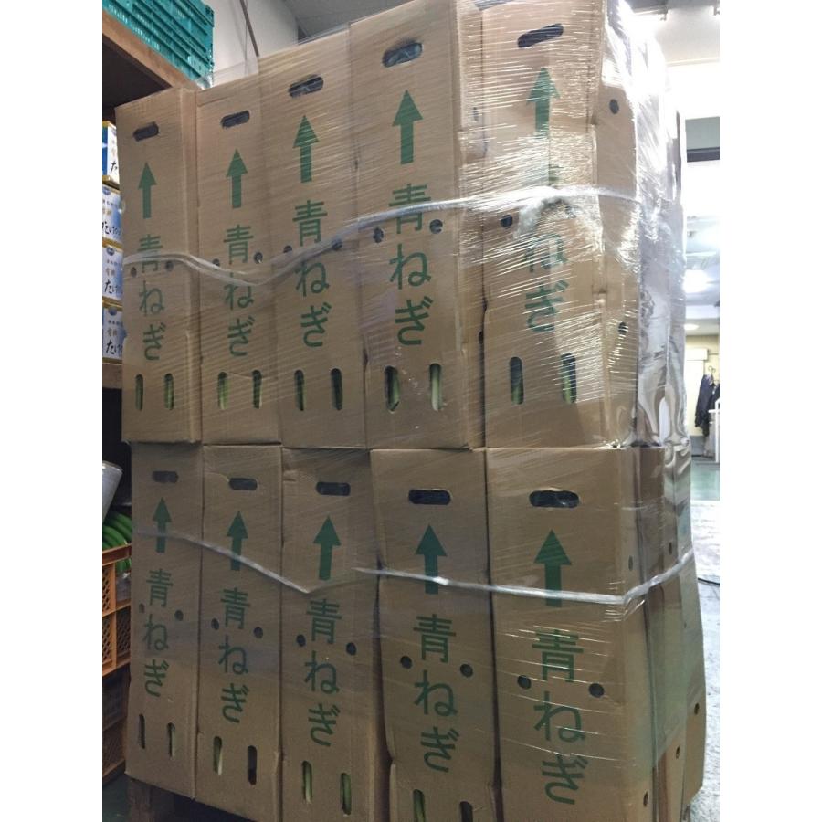 青森県産長ネギ箱込み約20キロ農家直送