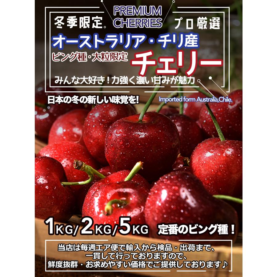アメリカンチェリー 約8kg 原体箱 大玉さくらんぼ 9 5 10r 大粒 櫻桃 コーディア種 御中元 家庭用 ビング 秀品 濃い甘み味 夏ギフト 厳選輸入果物フルーツ 贈答用 Cherry 数量割引対象商品 食べ応え抜群 車厘子 空輸