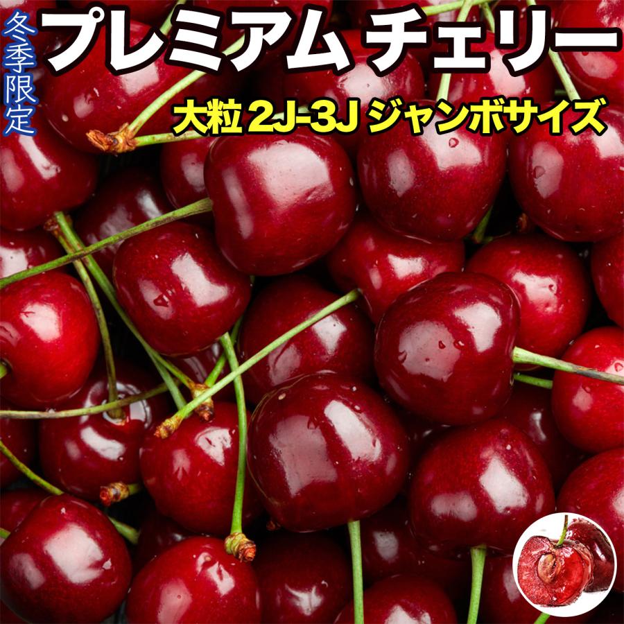 ダークチェリー 約5kg 原体箱 ジャンボサイズ チリ産 空輸 大粒 厳選 濃い甘味食べ応え抜群 さくらんぼ 車厘子 櫻桃 Premium Cherries ＜安心の国内検品＞｜season-plaza