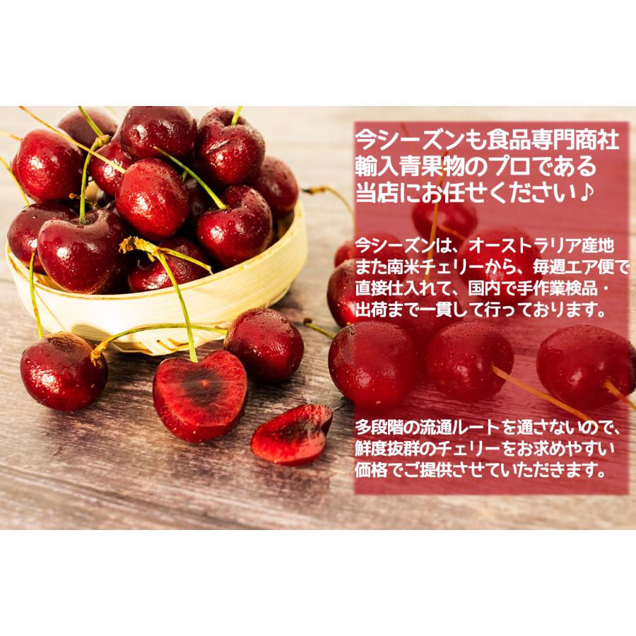 ダークチェリー 約5kg 大粒限定 産地箱 ニュージーランド産 空輸 ダークチェリー 約5kg 大粒限定 産地箱 ニュージーランド産 空輸
