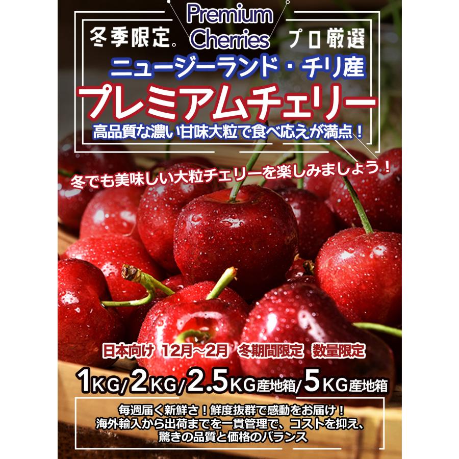 ダークチェリー 約5kg 大粒限定 産地箱 ニュージーランド産 空輸 ダークチェリー 約5kg 大粒限定 産地箱 ニュージーランド産 空輸