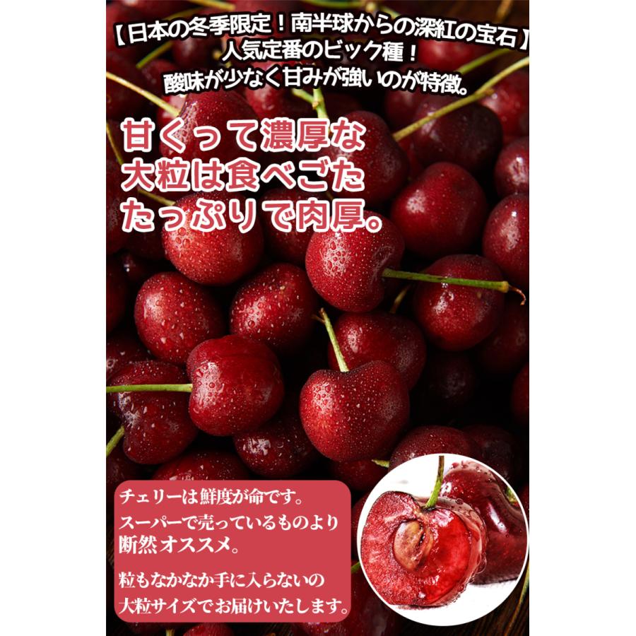 チェリーチリ産5キロ