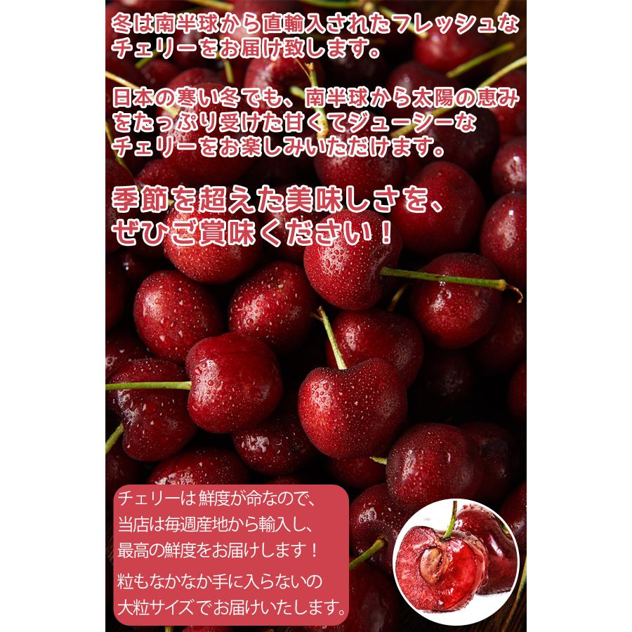 ダークチェリー 約5kg 大粒限定 産地箱 ニュージーランド産 空輸 ダークチェリー 約5kg 大粒限定 産地箱 ニュージーランド産 空輸