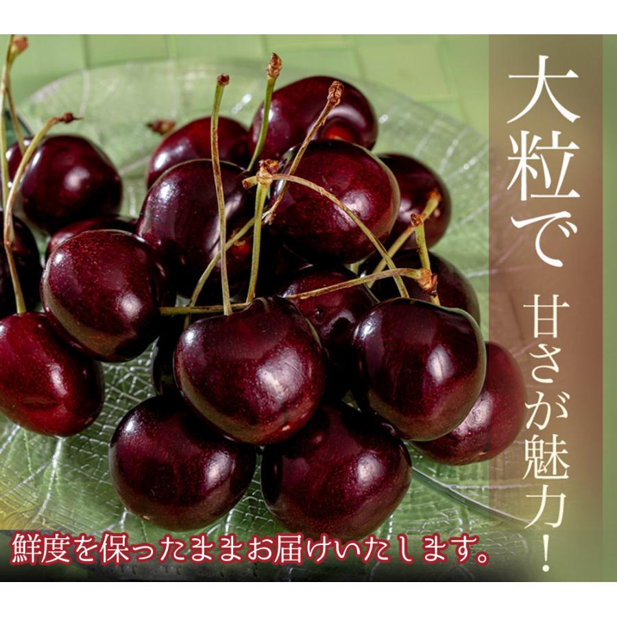 ダークチェリー 約5kg 原体箱 ジャンボサイズ チリ産 空輸 大粒 厳選  