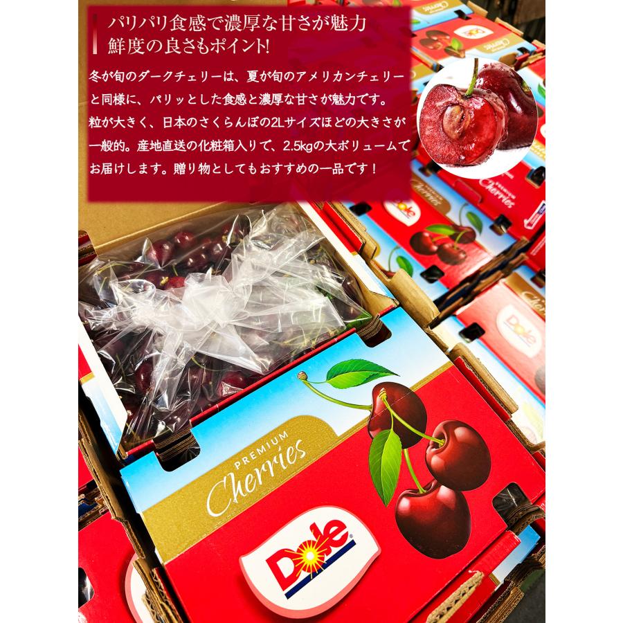 ダークチェリー 約5kg 大粒限定 産地箱 ニュージーランド産 空輸 ダークチェリー 約5kg 大粒限定 産地箱 ニュージーランド産 空輸