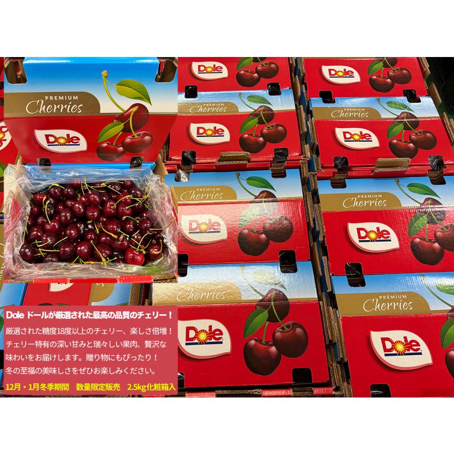ダークチェリー 約5kg 大粒限定 産地箱 ニュージーランド産 空輸 ダークチェリー 約5kg 大粒限定 産地箱 ニュージーランド産 空輸