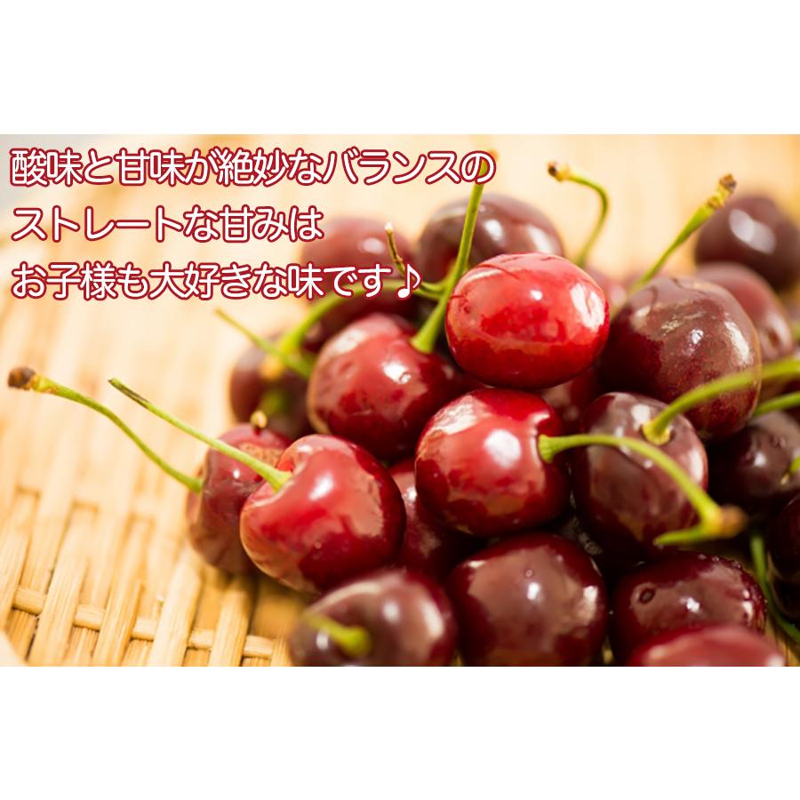 ダークチェリー 約5kg 産地箱 2J大粒サイズ チリ産 プレミアムチェリー 