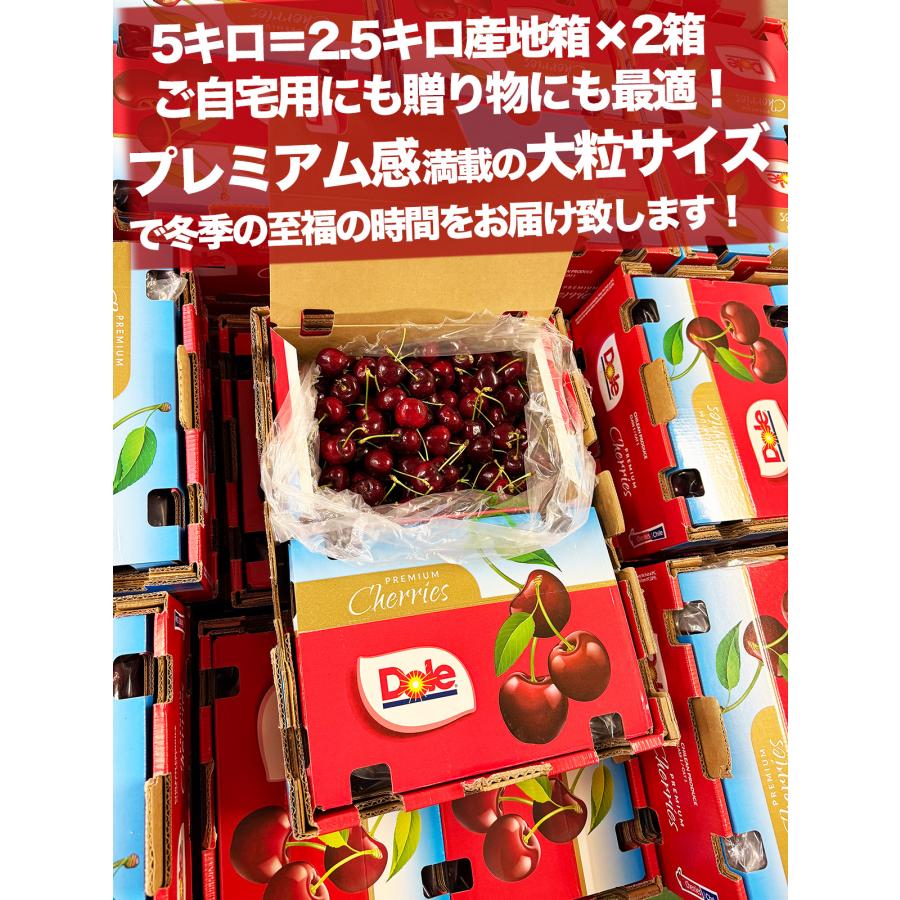 ダークチェリー 約5kg 大粒限定 産地箱 ニュージーランド産 空輸 ダークチェリー 約5kg 大粒限定 産地箱 ニュージーランド産 空輸