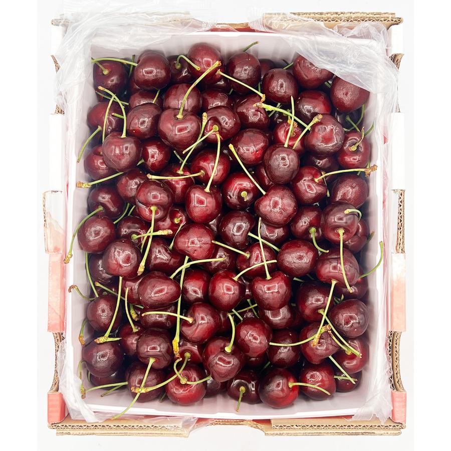 ダークチェリー 約5kg 大粒限定 産地箱 ニュージーランド産 空輸 ダークチェリー 約5kg 大粒限定 産地箱 ニュージーランド産 空輸