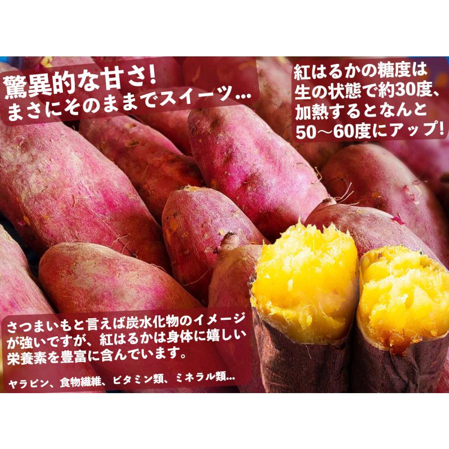 紅はるか さつまいも 茨城/千葉県産 約5kg 箱 正品 サイズ選べる 日本一の糖度を誇る人気の品種べにはるか 紅優甘 サツマイモ 薩摩芋 ...