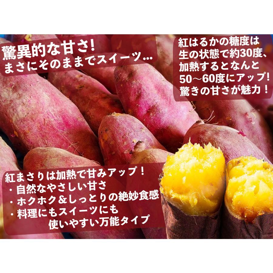 さつまいも 紅はるか 紅まさり 10kg 産地箱 S/M/L 秀品｜茨城 千葉県産