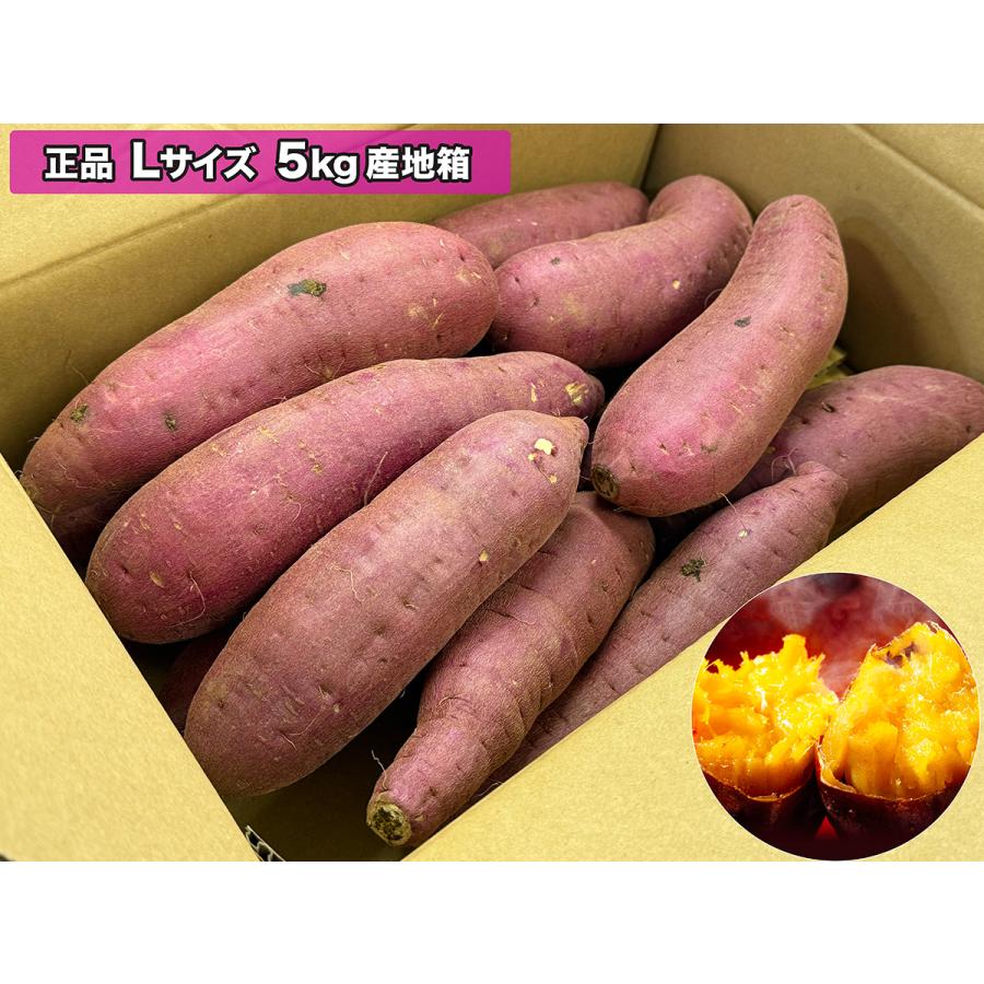 さつまいも 紅はるか 紅まさり 10kg 産地箱 S〜2L 秀品｜茨城 千葉県産