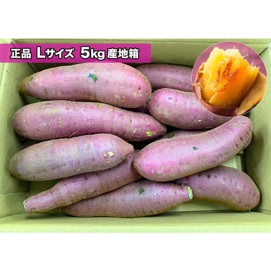 さつまいも 紅はるか 紅まさり 10kg 産地箱 S/M/L 秀品｜茨城 千葉県産