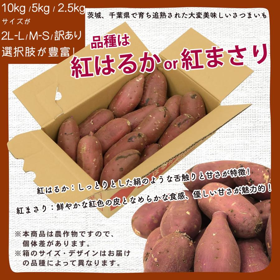 さつまいも 紅はるか 紅まさり 10kg 産地箱 S〜2L 秀品｜茨城 千葉県産
