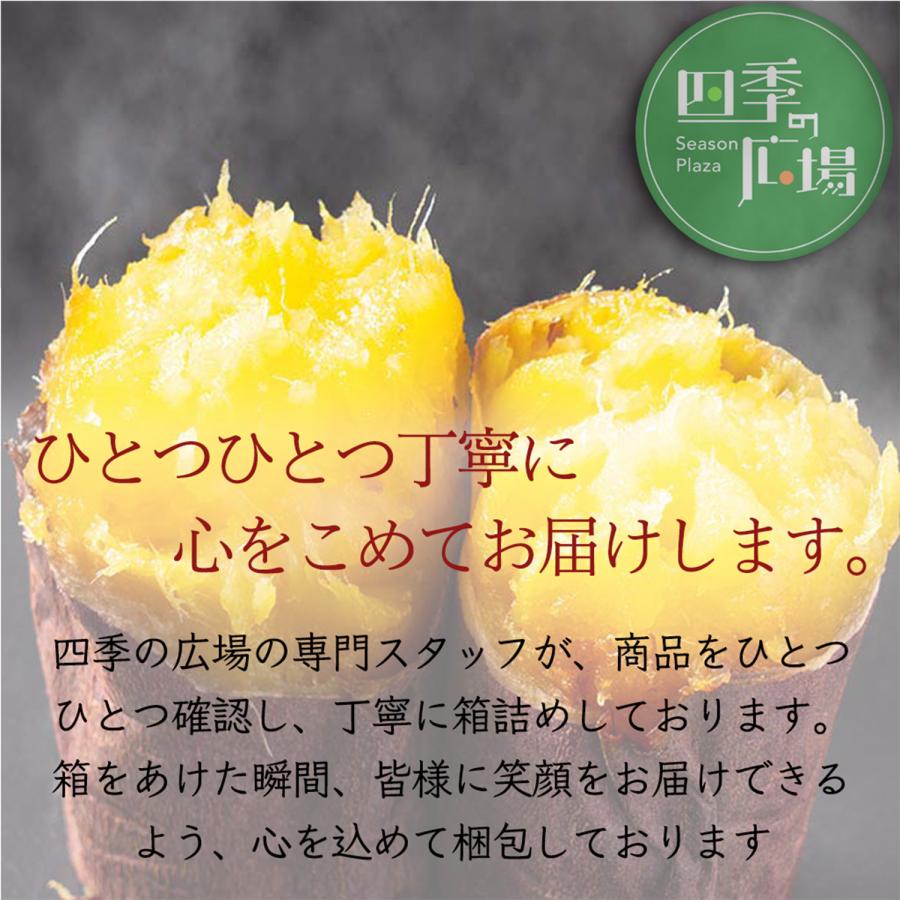 さつまいも 紅はるか 紅まさり 約10kg 産地箱 ＜訳あり 規格外品