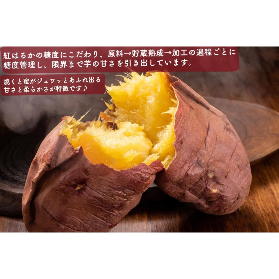 さつまいも 紅はるか 紅まさり 約10kg 産地箱 ＜訳あり 規格外品